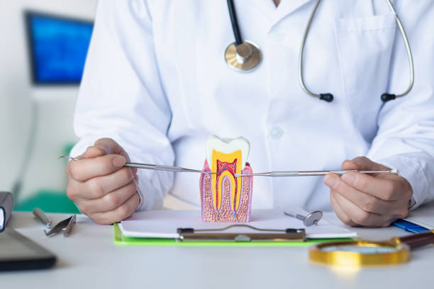 Best Emergency Root Canal Treatment in James Island, SC